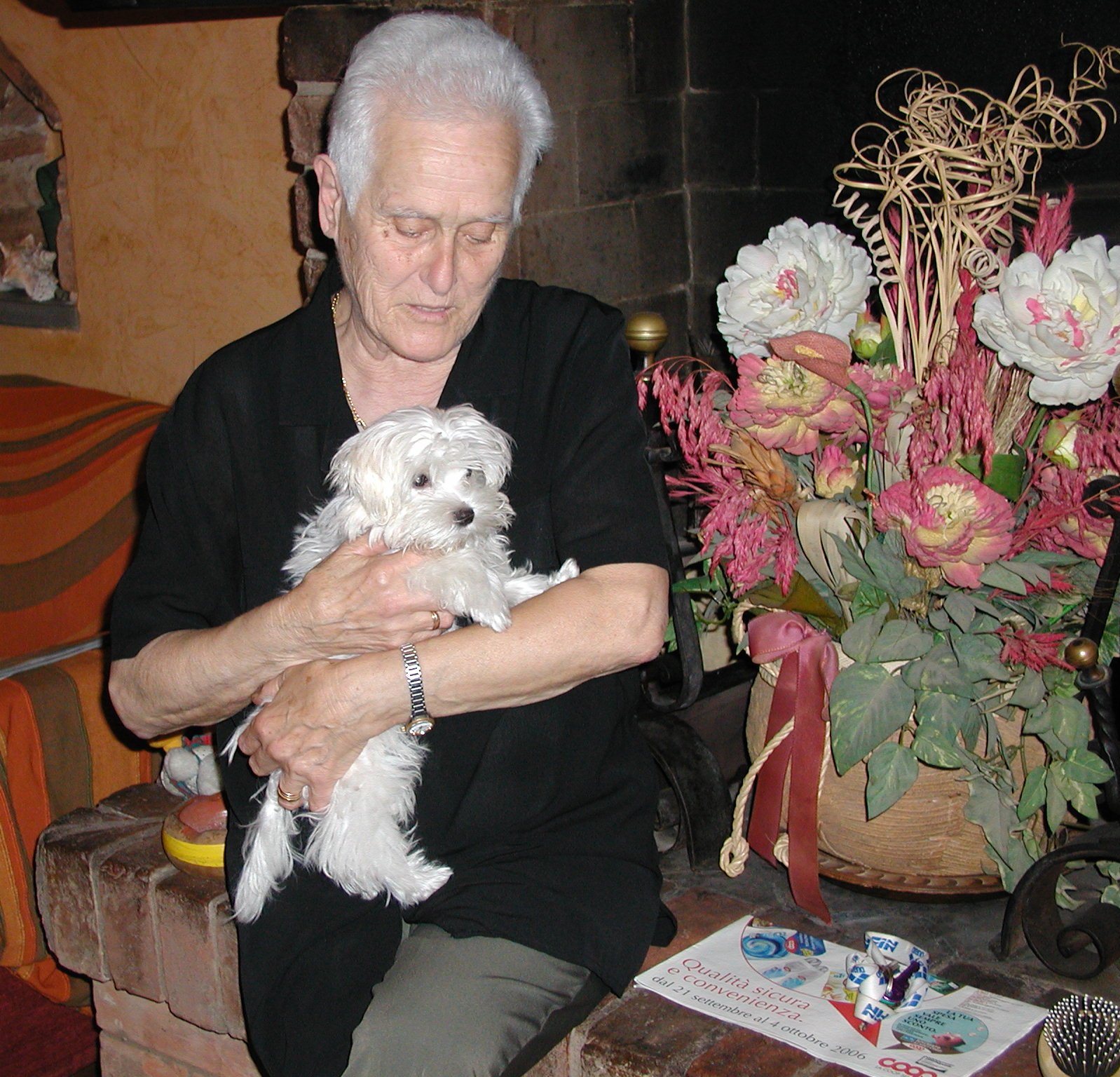 la pet-therapy ci aiuta 